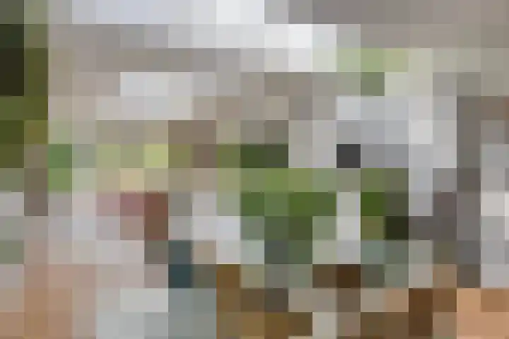 Oranjestraat 47 Arnhem thumbnail 5