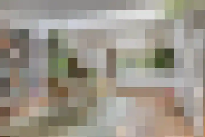 Oranjestraat 47 Arnhem thumbnail 6