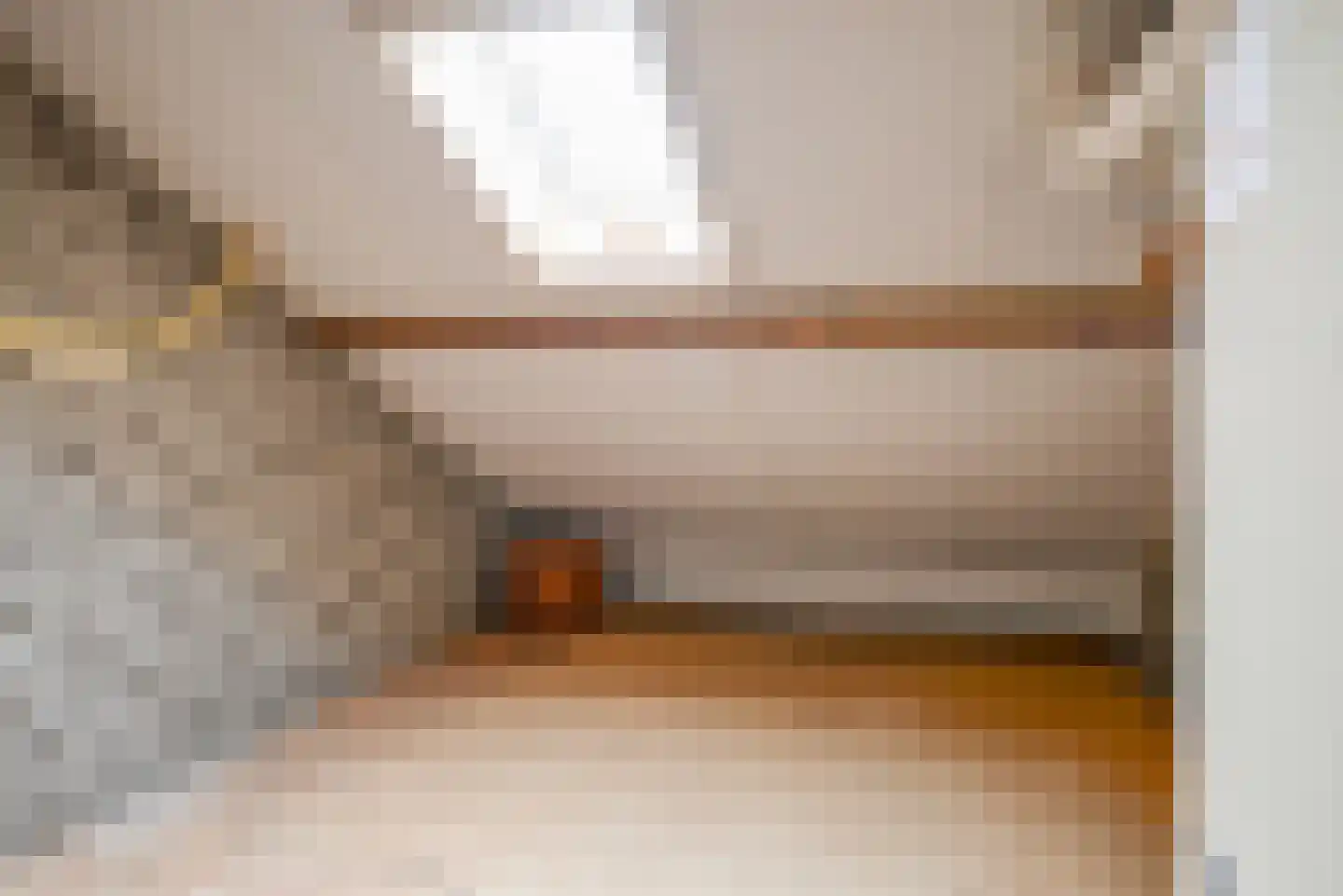 Oranjestraat 48 Berkel en Rodenrijs thumbnail 34
