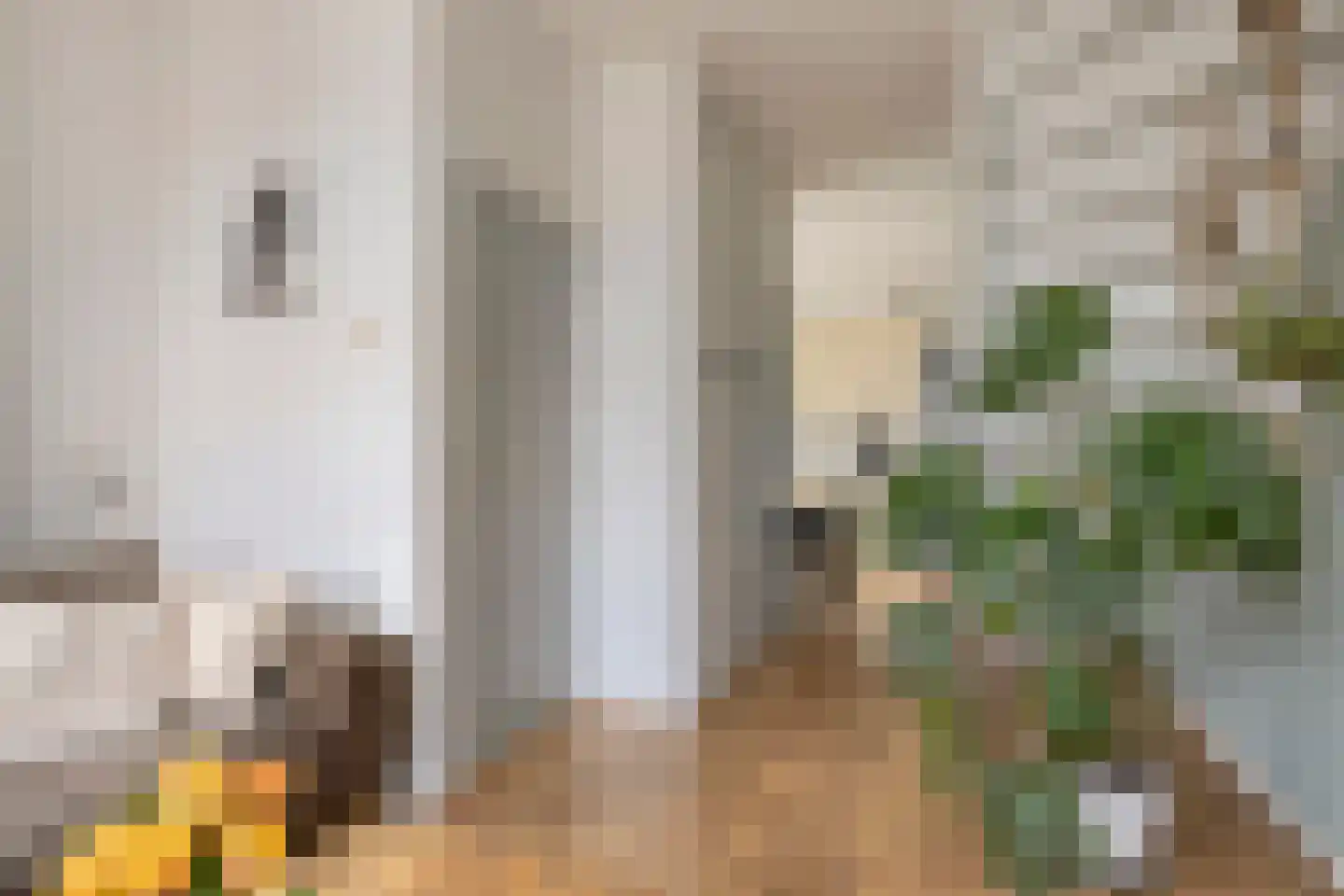 Oranjestraat 5 Bredevoort thumbnail 11