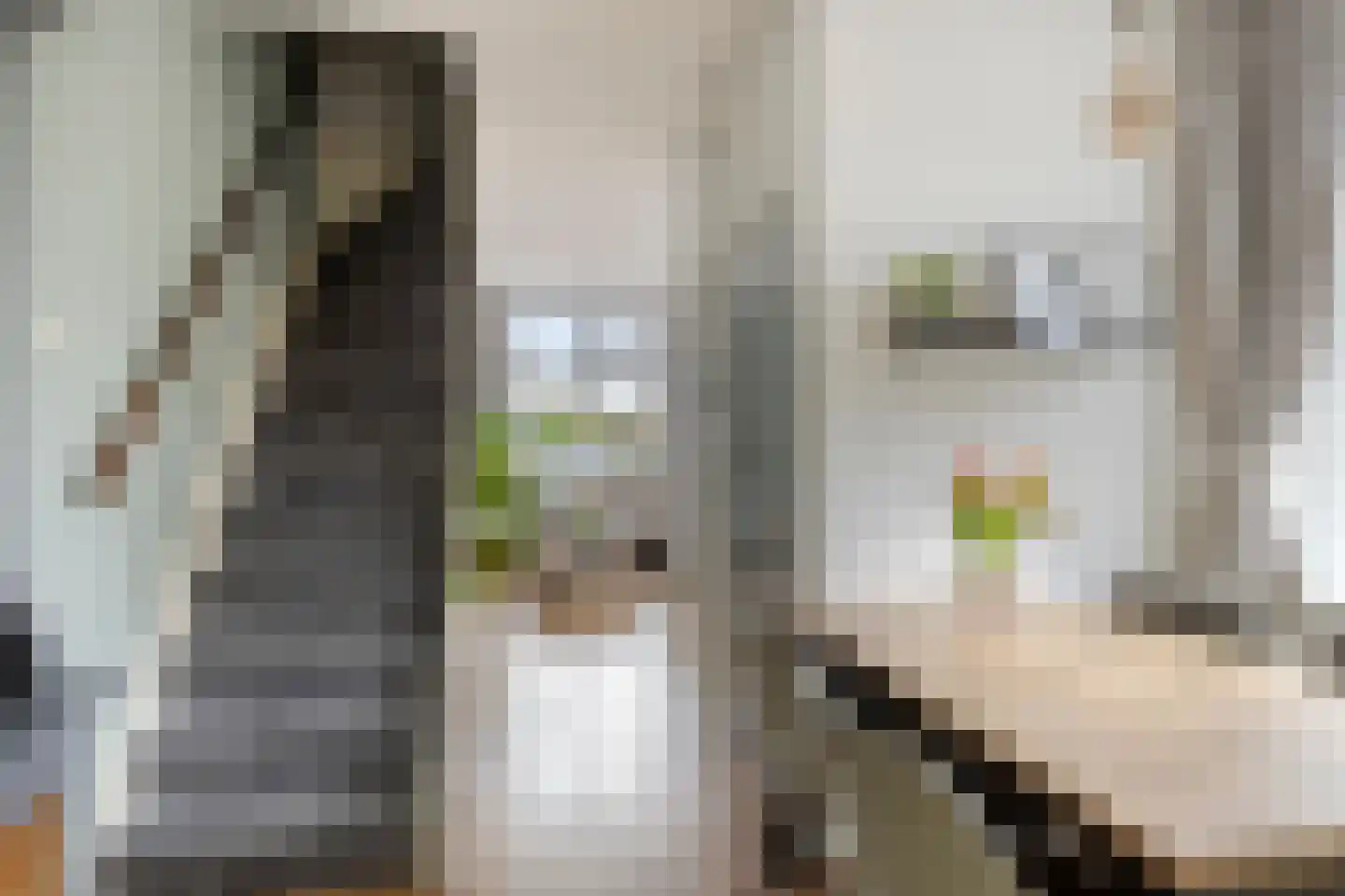 Oranjestraat 5 Bredevoort thumbnail 14