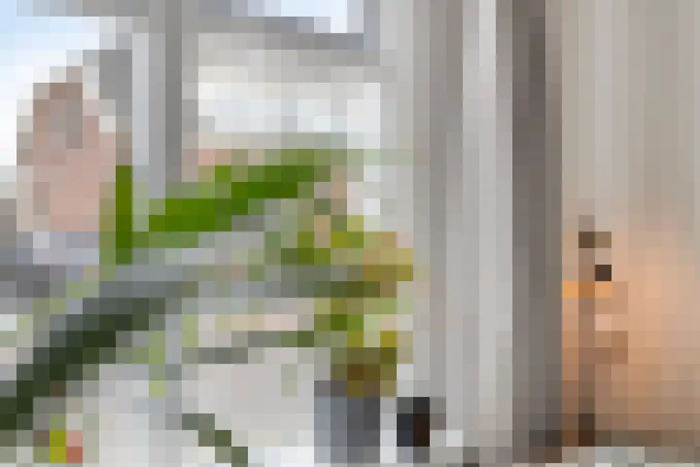 Oranjestraat 5 Bredevoort thumbnail 16