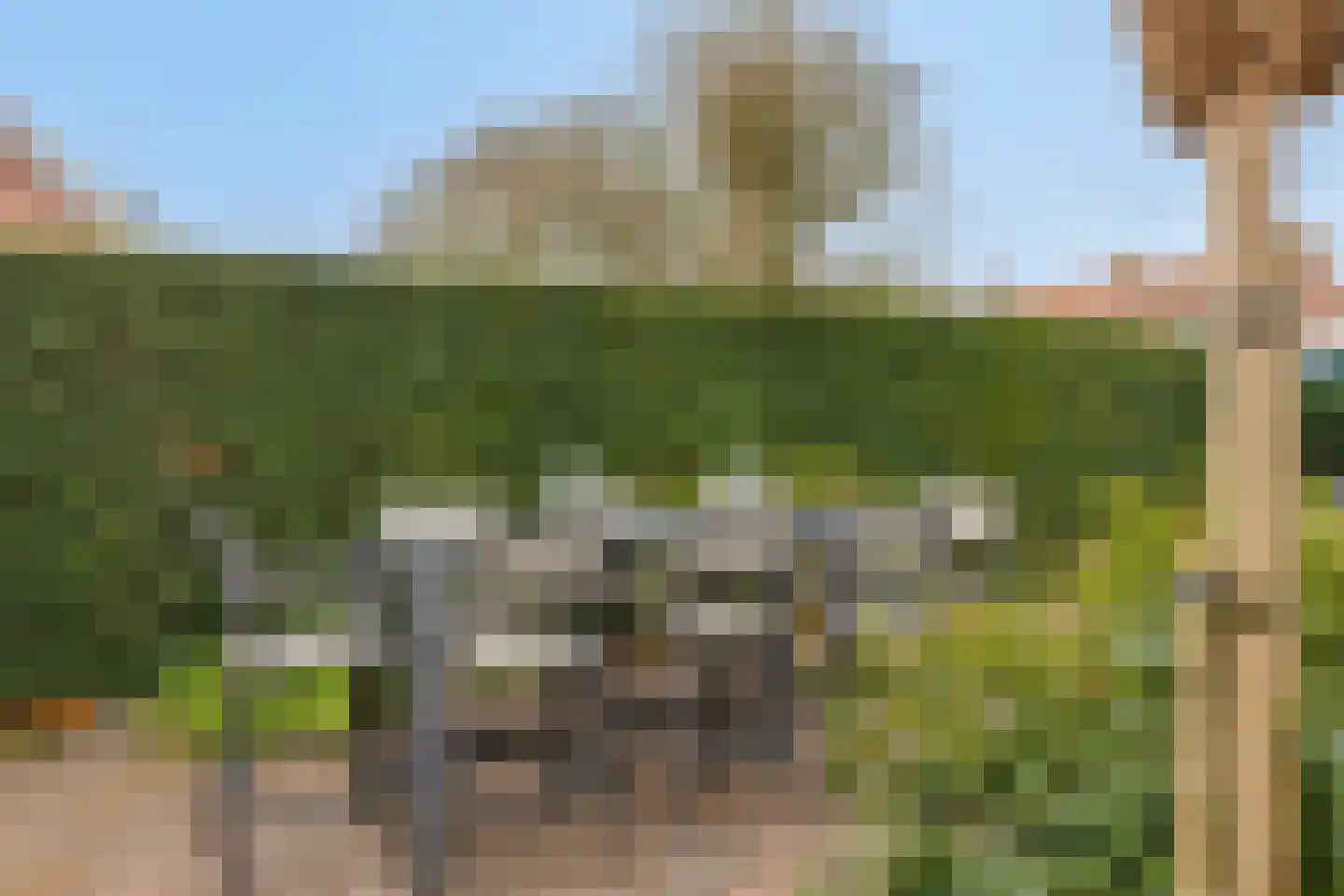 Oranjestraat 5 Bredevoort thumbnail 31