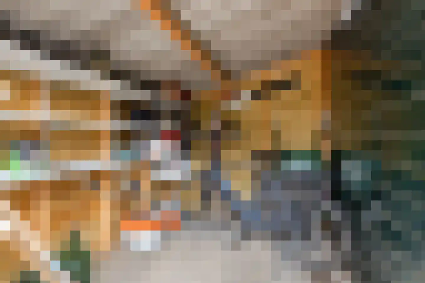 Oranjestraat 5 Bredevoort thumbnail 34