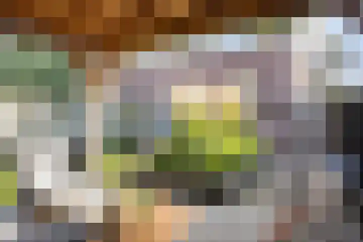 Oranjestraat 5 C Apeldoorn thumbnail 15