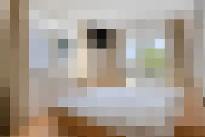 Oranjestraat 5 C Apeldoorn thumbnail 17