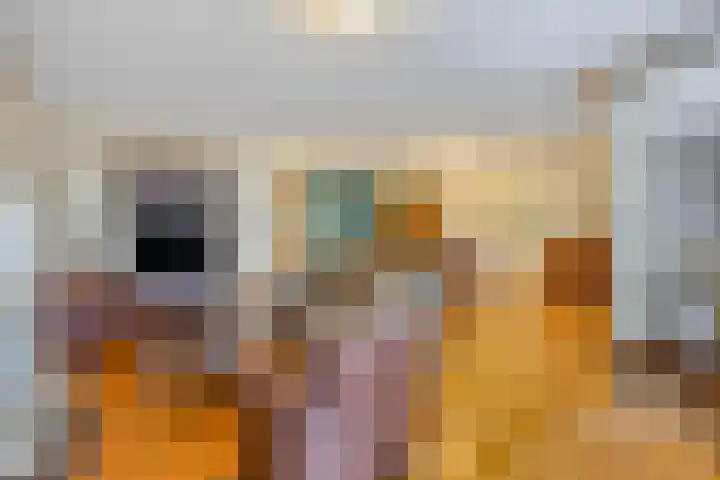 Oranjestraat 5 F Best thumbnail 12