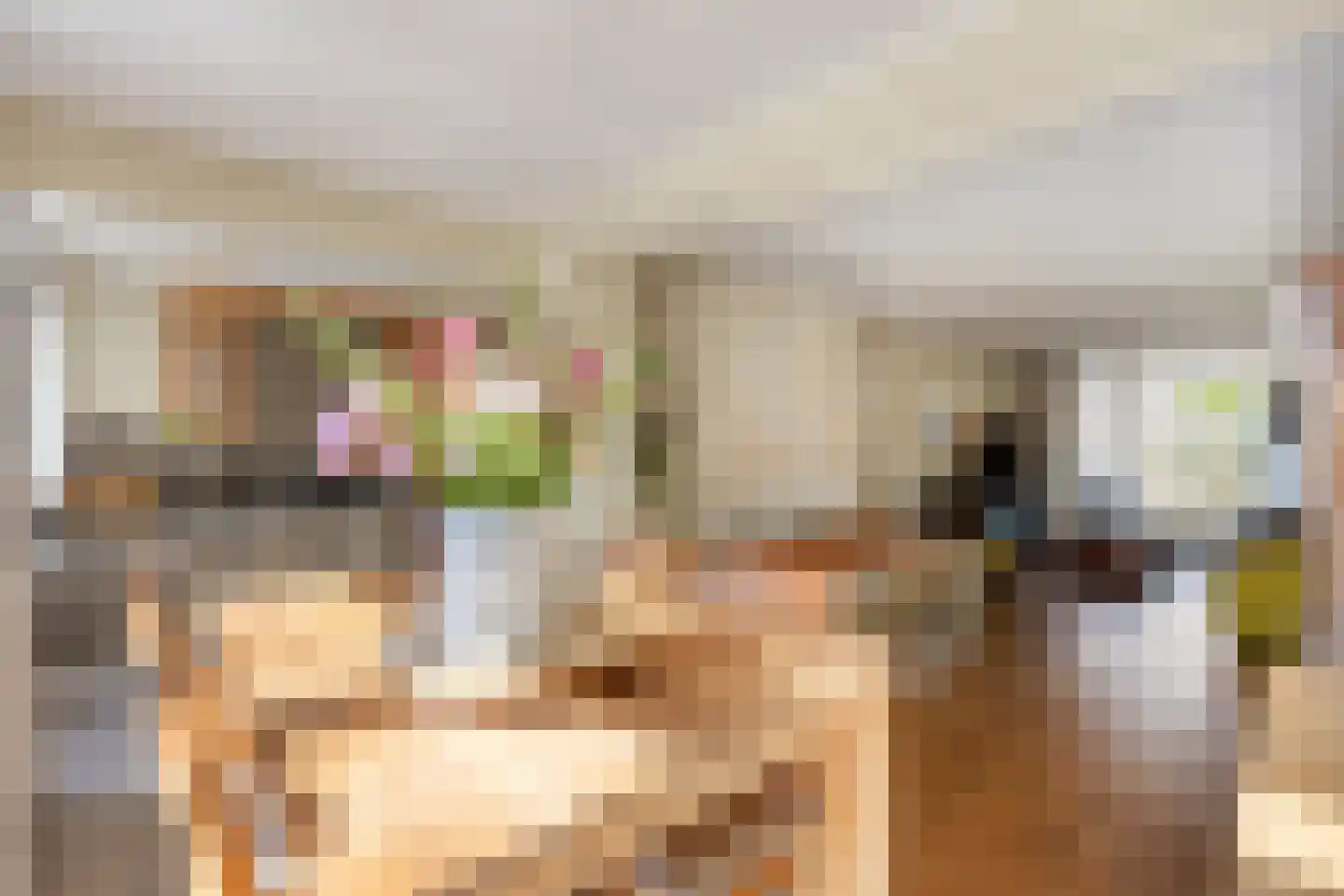 Oranjestraat 5 Venlo thumbnail 7