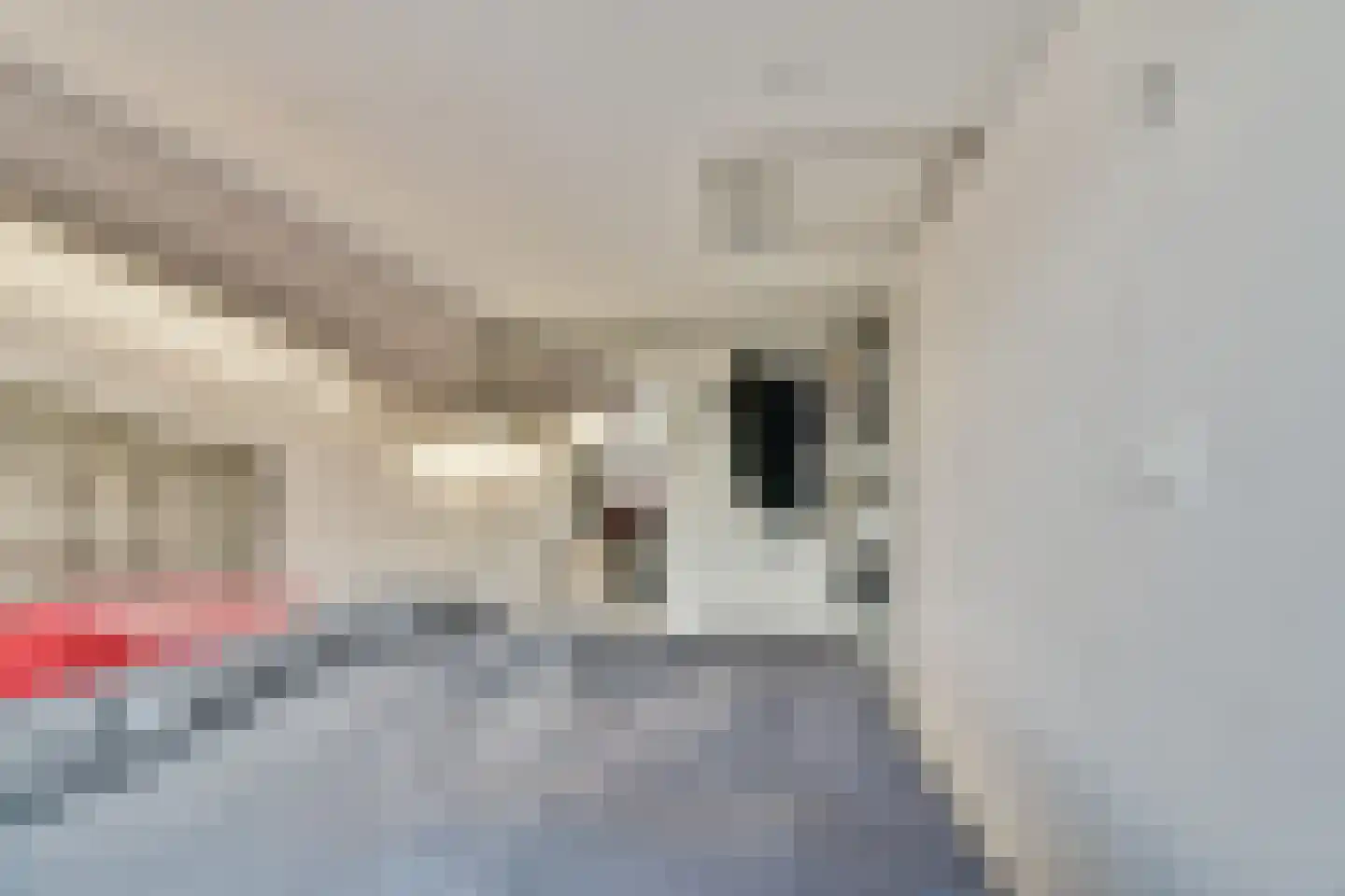 Oranjestraat 5 Vlaardingen thumbnail 17