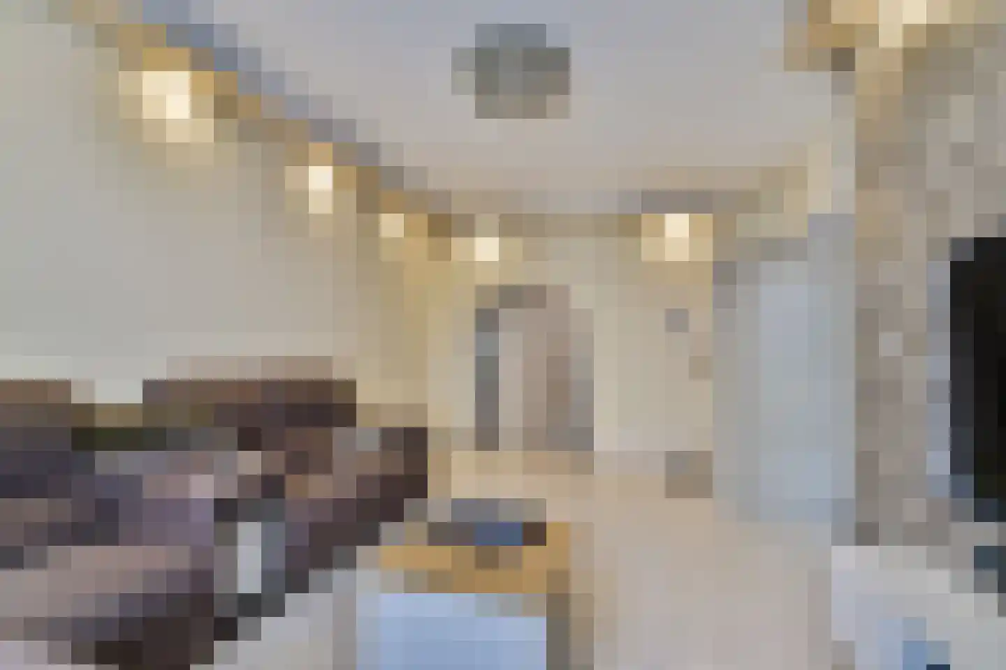 Oranjestraat 5 Vlaardingen thumbnail 4