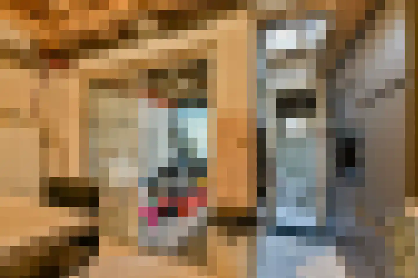 Oranjestraat 5 Vlaardingen thumbnail 8