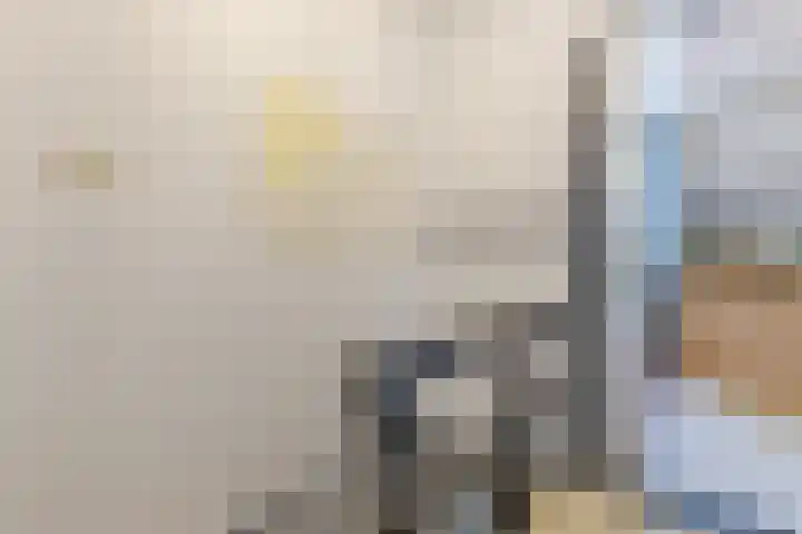 Oranjestraat 5 Wormerveer thumbnail 18