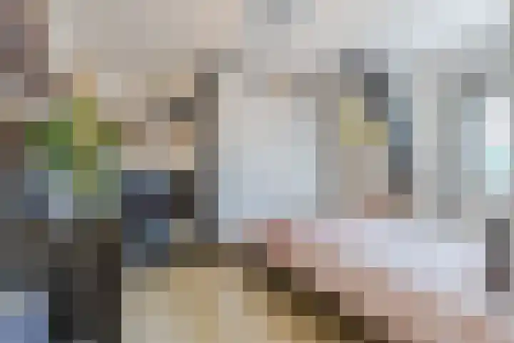 Oranjestraat 5 Wormerveer thumbnail 20