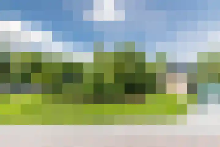 Oranjestraat 5 Wormerveer thumbnail 32
