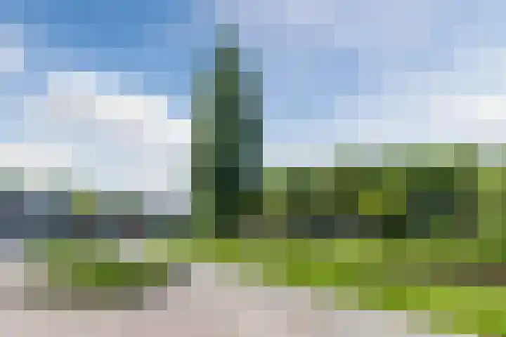 Oranjestraat 5 Wormerveer thumbnail 33