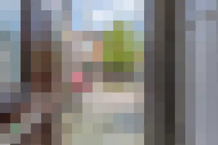 Oranjestraat 5 Wormerveer thumbnail 4