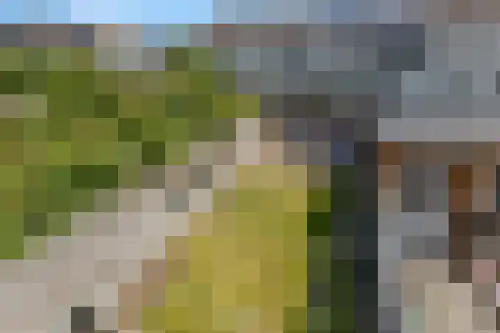 Oranjestraat 50 Elst Ut thumbnail 20