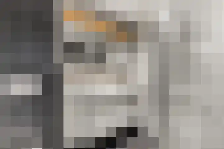 Oranjestraat 50 Elst Ut thumbnail 21