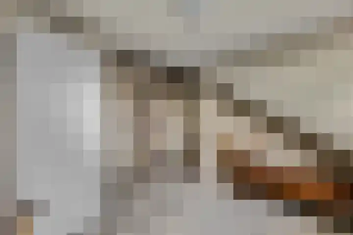 Oranjestraat 50 Elst Ut thumbnail 24