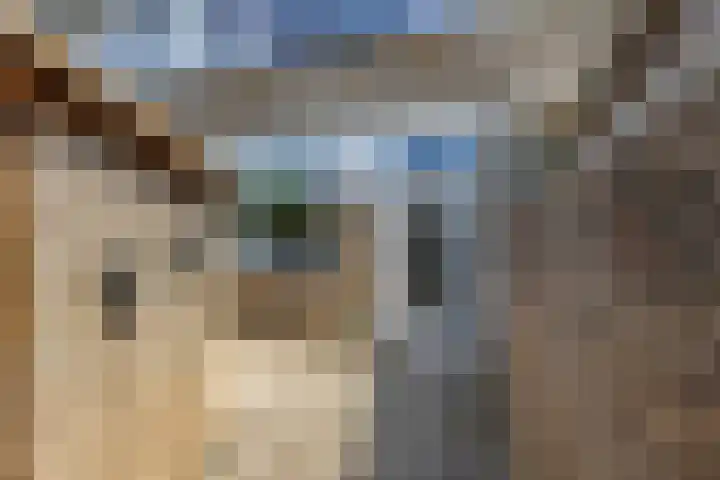Oranjestraat 50 Elst Ut thumbnail 30