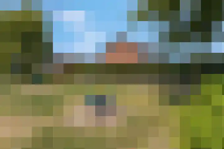 Oranjestraat 50 Elst Ut thumbnail 36