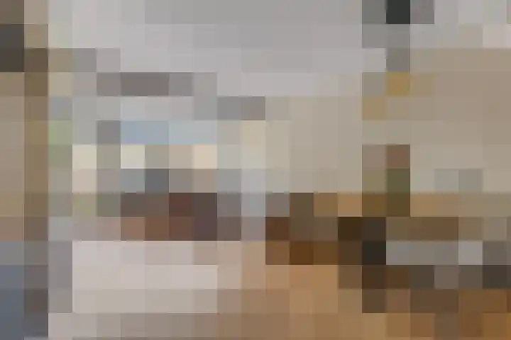 Oranjestraat 50 Elst Ut thumbnail 8