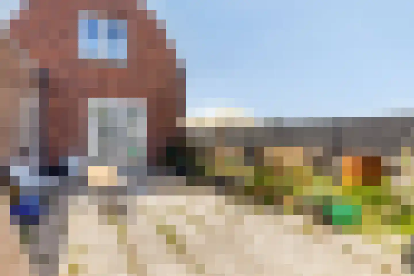 Oranjestraat 50 IJzendijke thumbnail 27