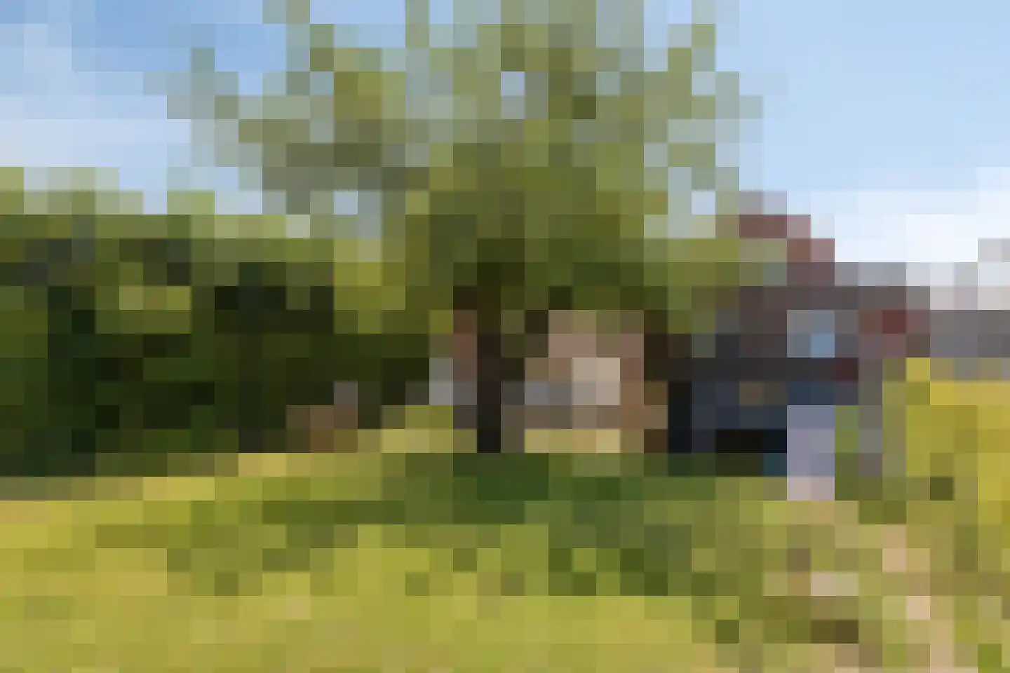 Oranjestraat 50 IJzendijke thumbnail 35