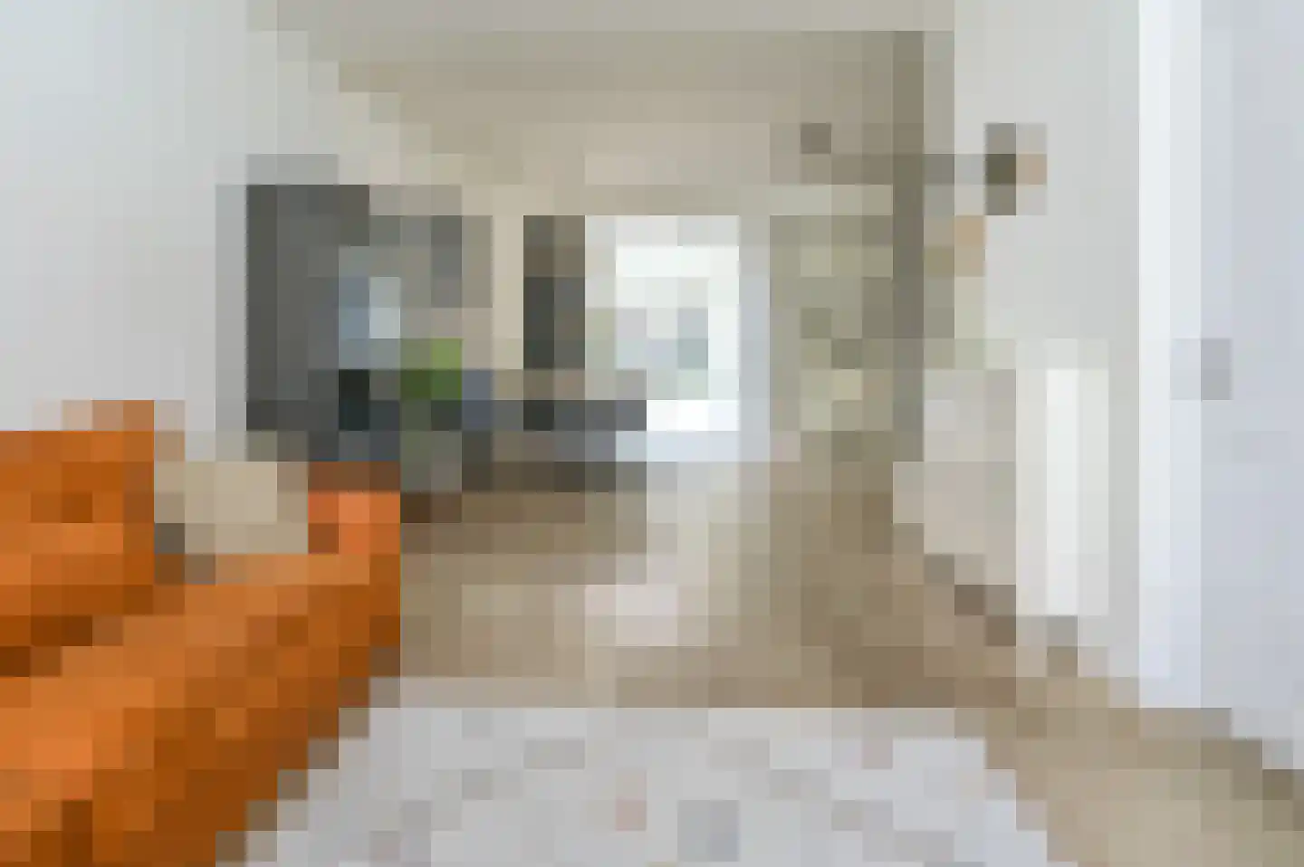 Oranjestraat 54 Haarlem thumbnail 4