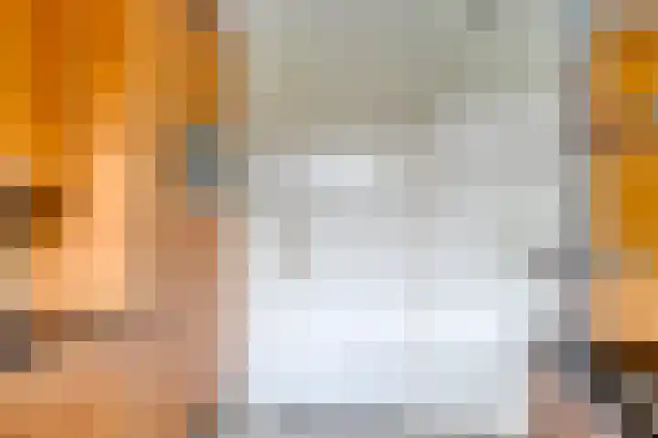 Oranjestraat 55 Rijsbergen thumbnail 18