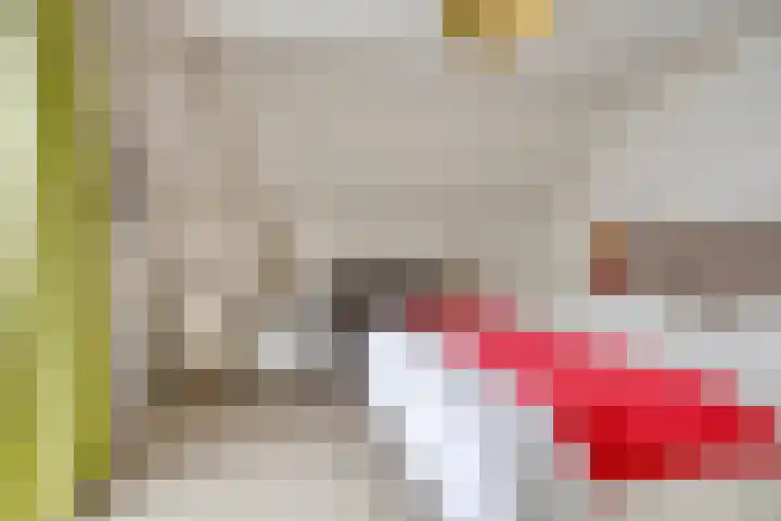 Oranjestraat 55 Rijsbergen thumbnail 23