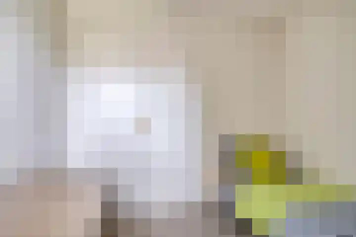 Oranjestraat 55 Rijsbergen thumbnail 30