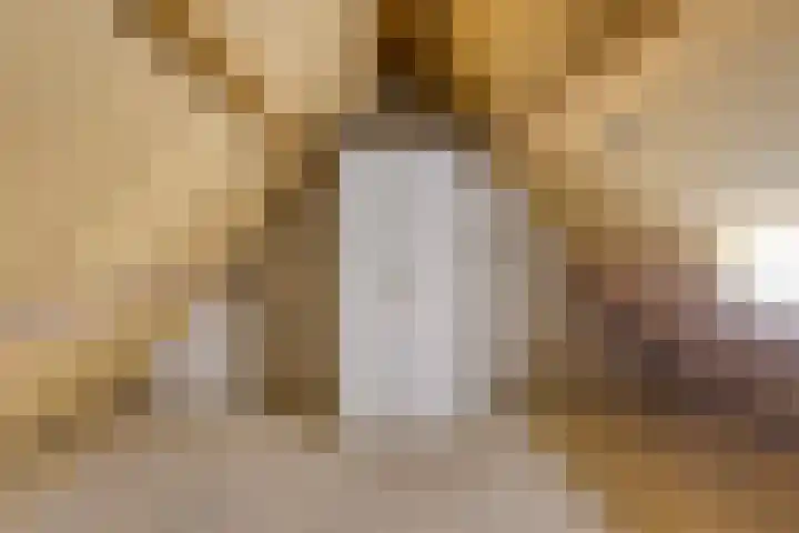 Oranjestraat 55 Rijsbergen thumbnail 34