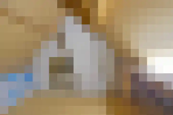 Oranjestraat 55 Rijsbergen thumbnail 35