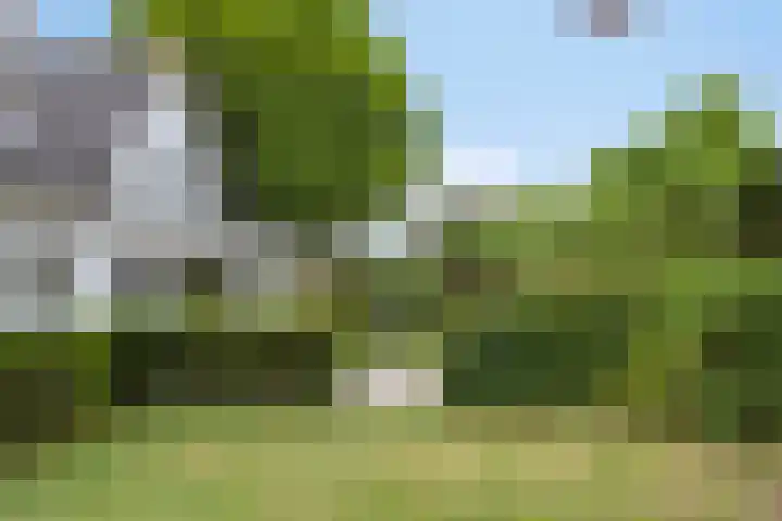 Oranjestraat 55 Rijsbergen thumbnail 36