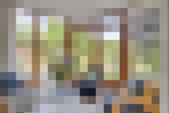 Oranjestraat 55 Rijsbergen thumbnail 4