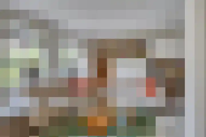 Oranjestraat 55 Rijsbergen thumbnail 9