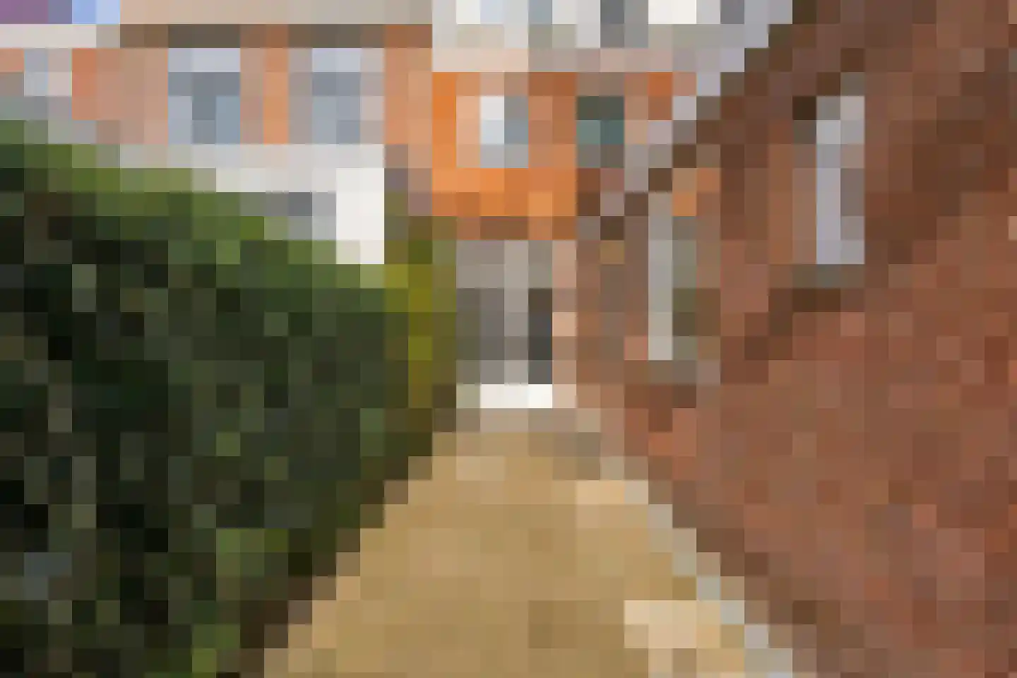 Oranjestraat 56 Haarlem thumbnail 23