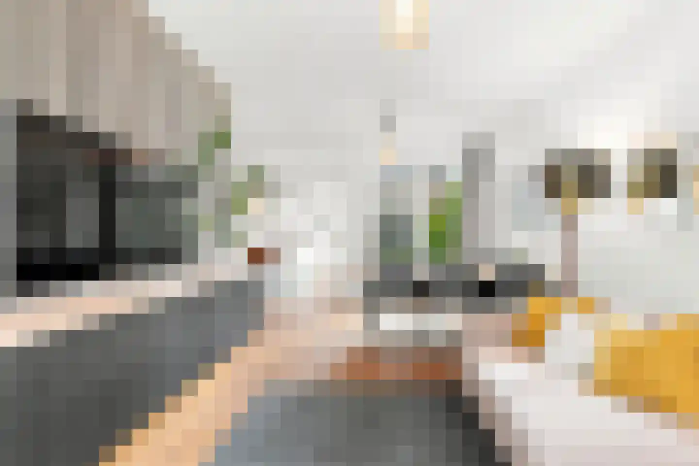 Oranjestraat 56 Haarlem thumbnail 6