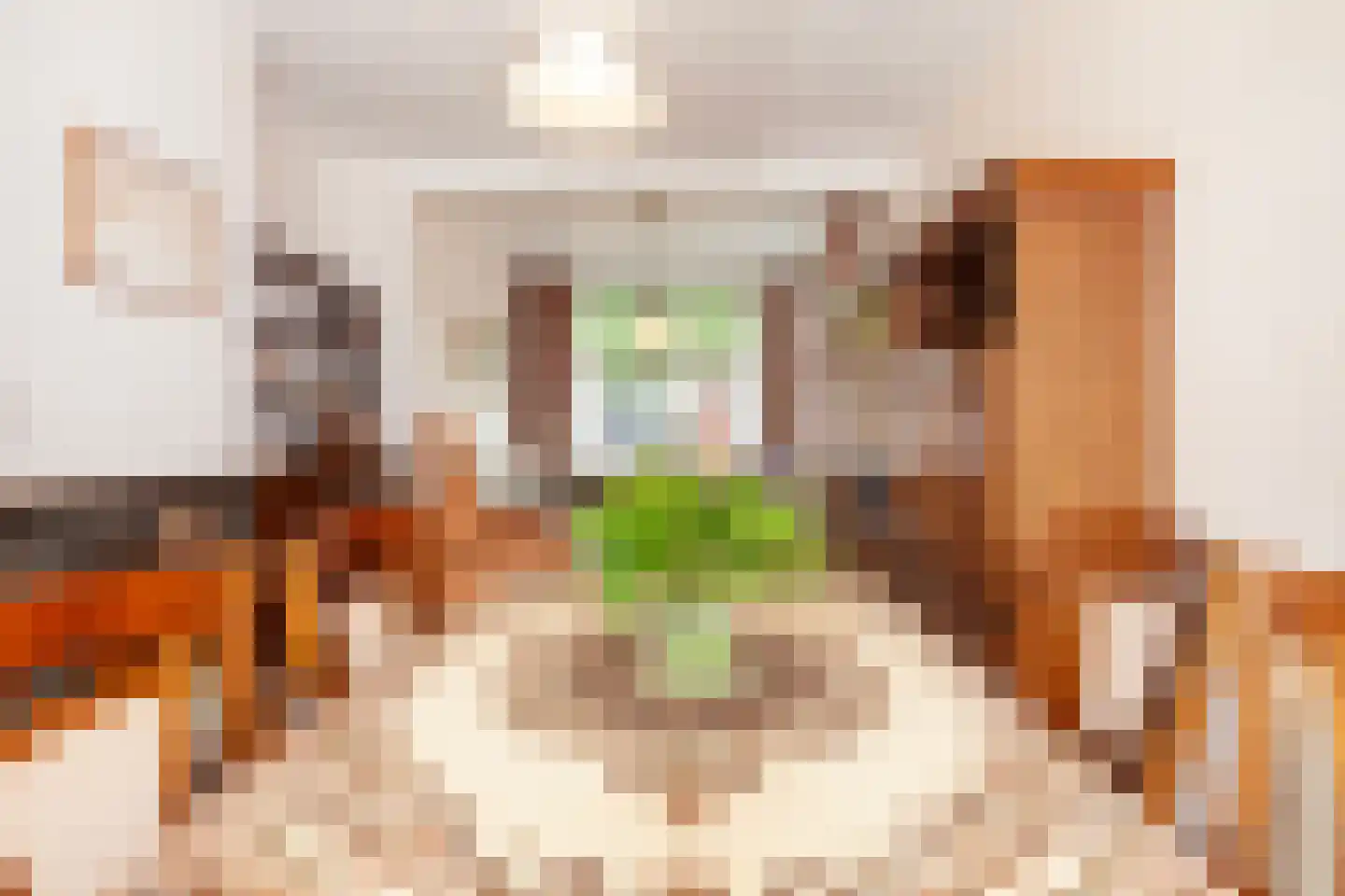 Oranjestraat 6 Alblasserdam thumbnail 13