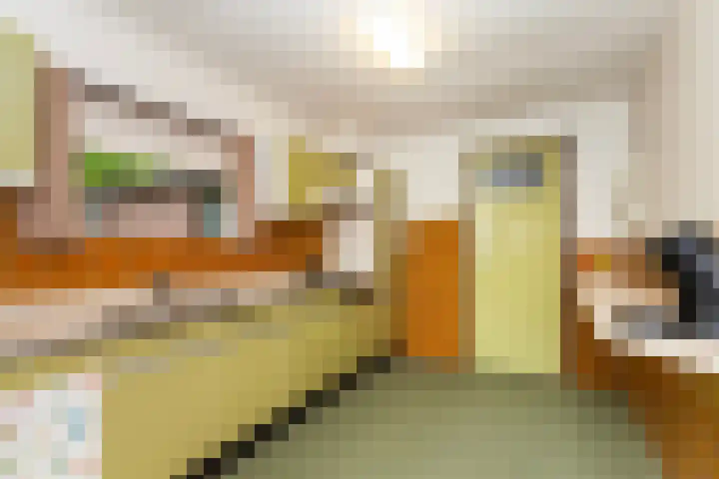 Oranjestraat 6 Alblasserdam thumbnail 14