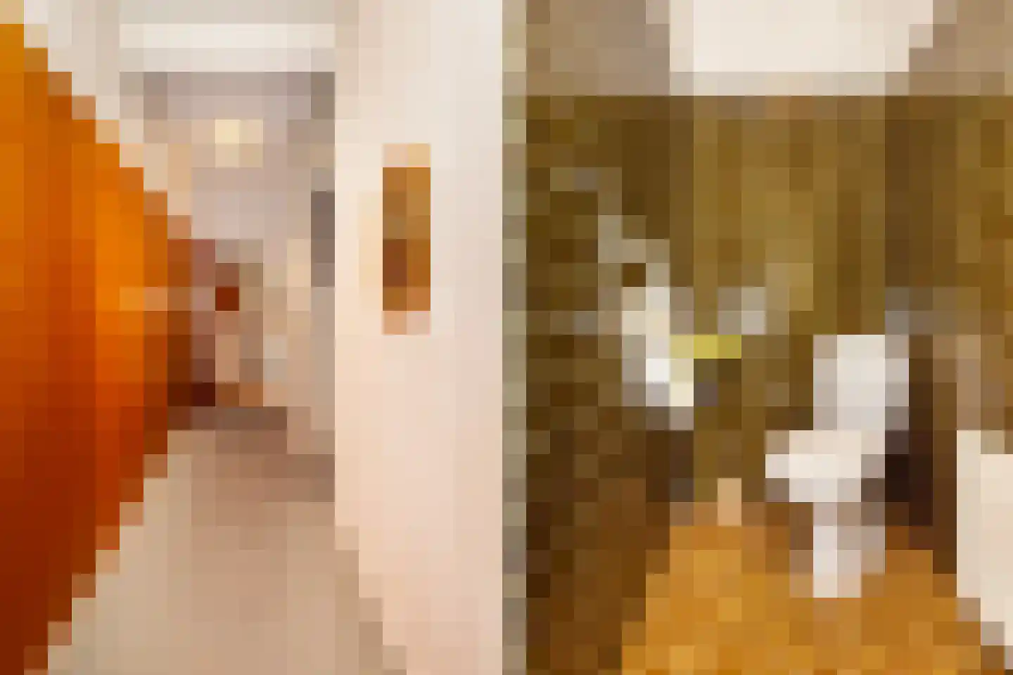 Oranjestraat 6 Alblasserdam thumbnail 5