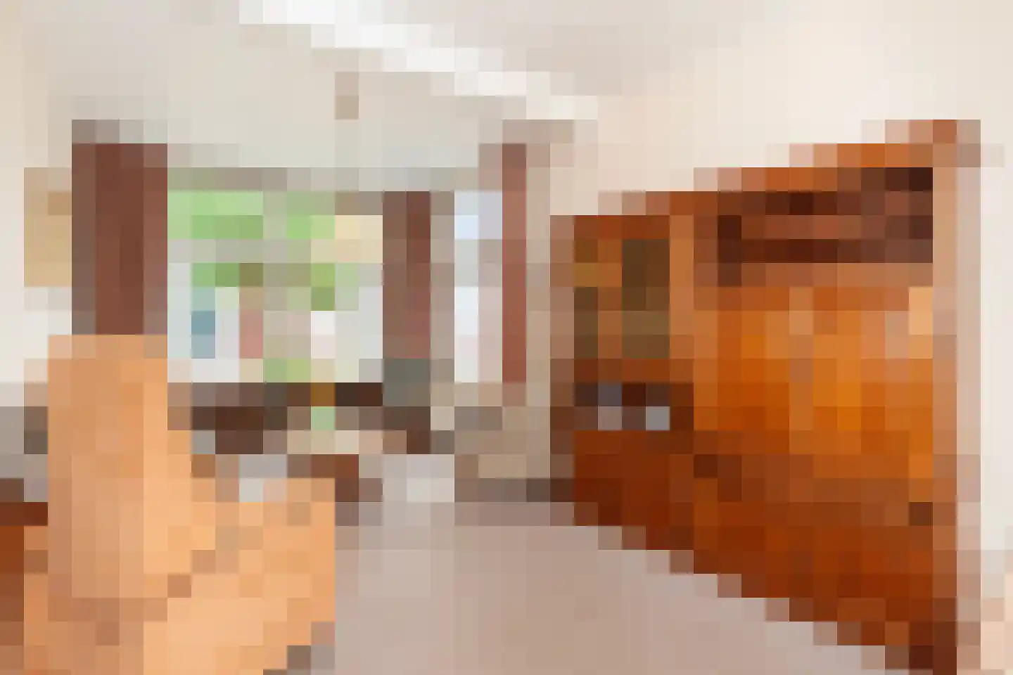 Oranjestraat 6 Alblasserdam thumbnail 7