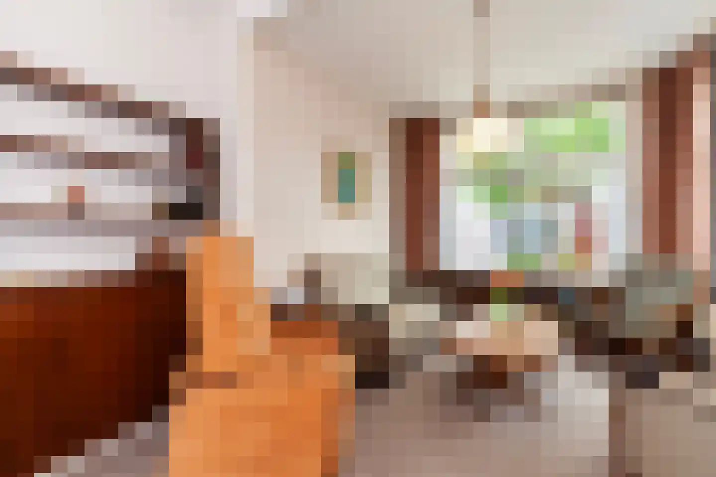 Oranjestraat 6 Alblasserdam thumbnail 9