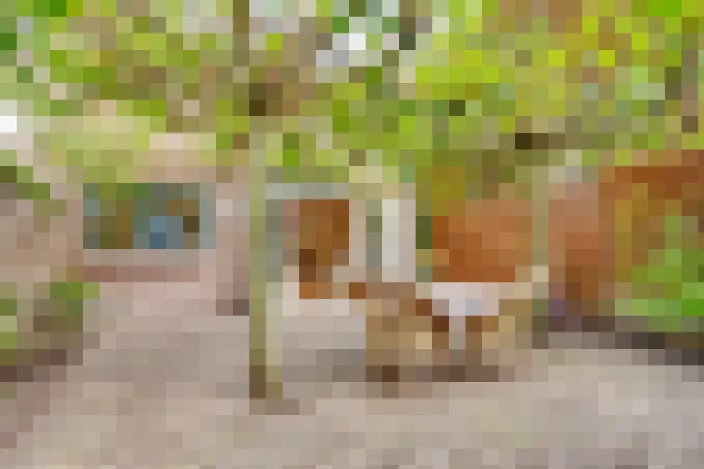 Oranjestraat 6 Baarn thumbnail 41