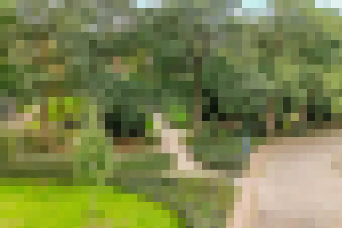 Oranjestraat 6 Baarn thumbnail 58