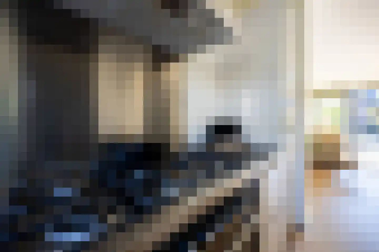 Oranjestraat 6 Berkel en Rodenrijs thumbnail 12
