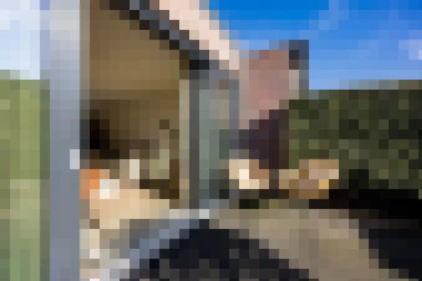 Oranjestraat 6 Berkel en Rodenrijs thumbnail 24
