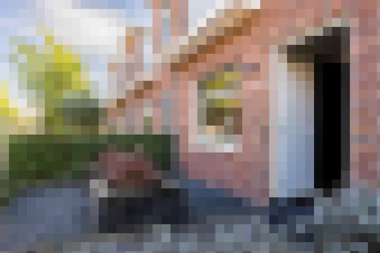Oranjestraat 6 Berkel en Rodenrijs thumbnail 5