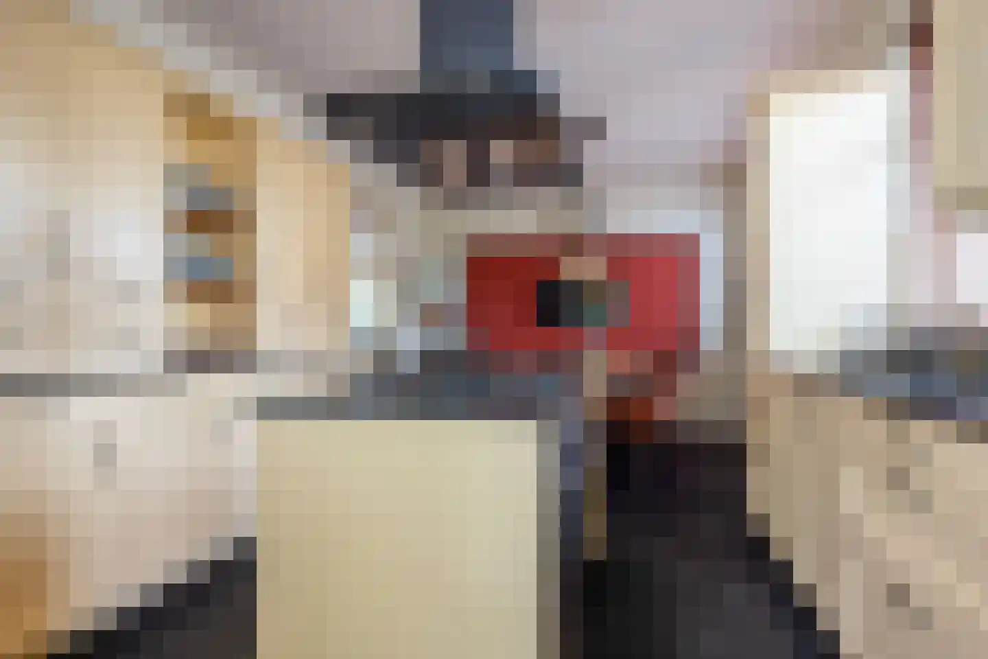 Oranjestraat 6 Nuenen thumbnail 20